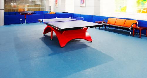 Table Tennis Flooring